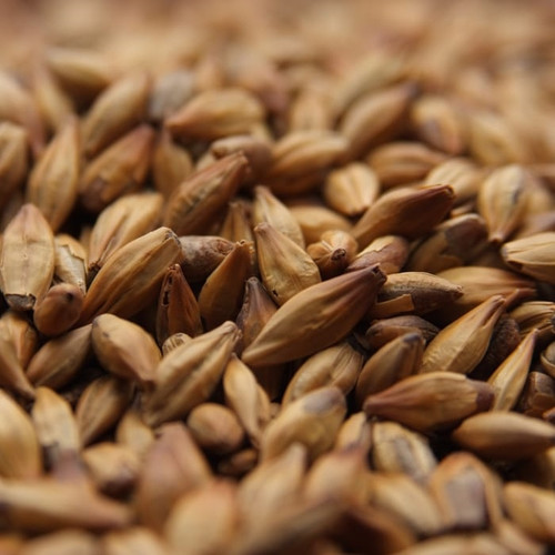 Weyermann CaraMunich Type 1 Malt, CaraMunich Type 1 Malt, Weyermann Brewing Malt