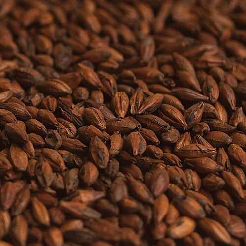 Briess Dark Chocolate Malt, Chocolate Malt, 420 Lovibond Roasted Malted Barley