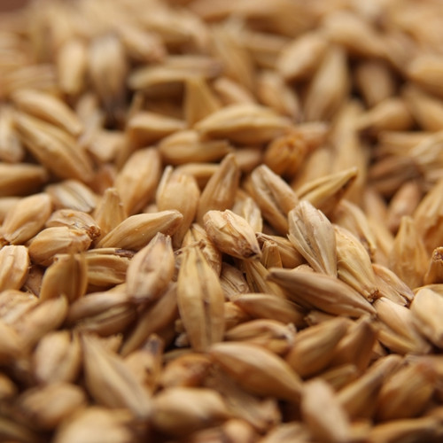 Weyermann Acidulated Malt, Acidulated Malt, Weyermann Brewing Malt