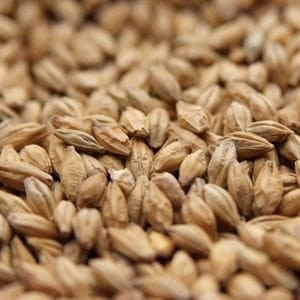 Weyermann Bohemian Pilsner Malt, Weyermann Bohemian Pilsen Malt, Weyermann Brewing Malt