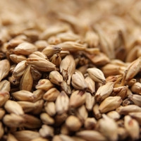 Weyermann CaraAmber Malt, CaraAmber Malt, Weyermann Brewing Malt