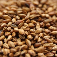 Weyermann CaraBelge Malt, CaraBelge Malt, Weyermann Brewing Malt
