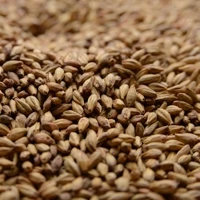 Briess Special Roast Malt - 10 Lb
