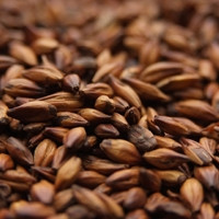 Weyermann CaraAroma Malt, CaraAroma Malt, Weyermann Brewing Malt
