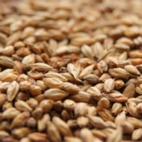 Weyermann Abbey Malt, Abbey Malt, Weyermann Brewing Malt