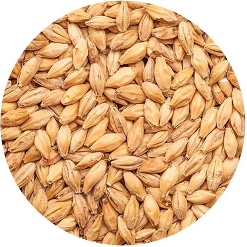 BestMalz Red X Malt, BestMalz Barley Malt, Malted Barley