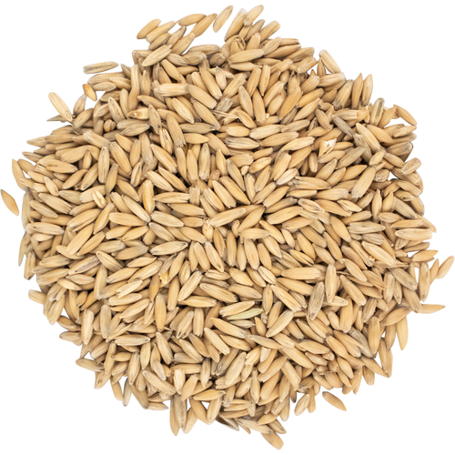 Malted Oats - 1 oz