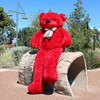 Joyfay® Big 91" (7.6 ft) Red Teddy Bear