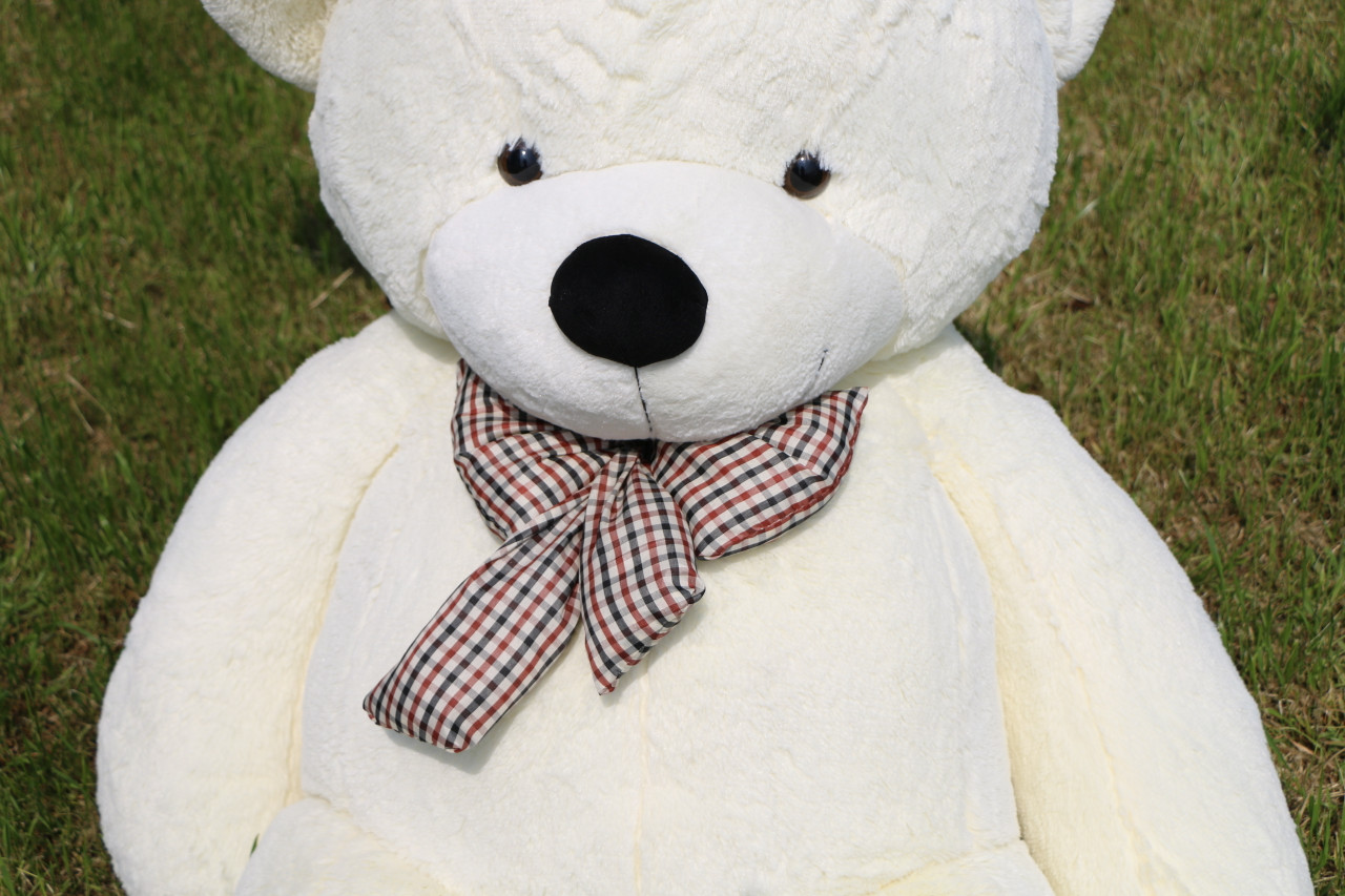 teddy bear 5 feet ka