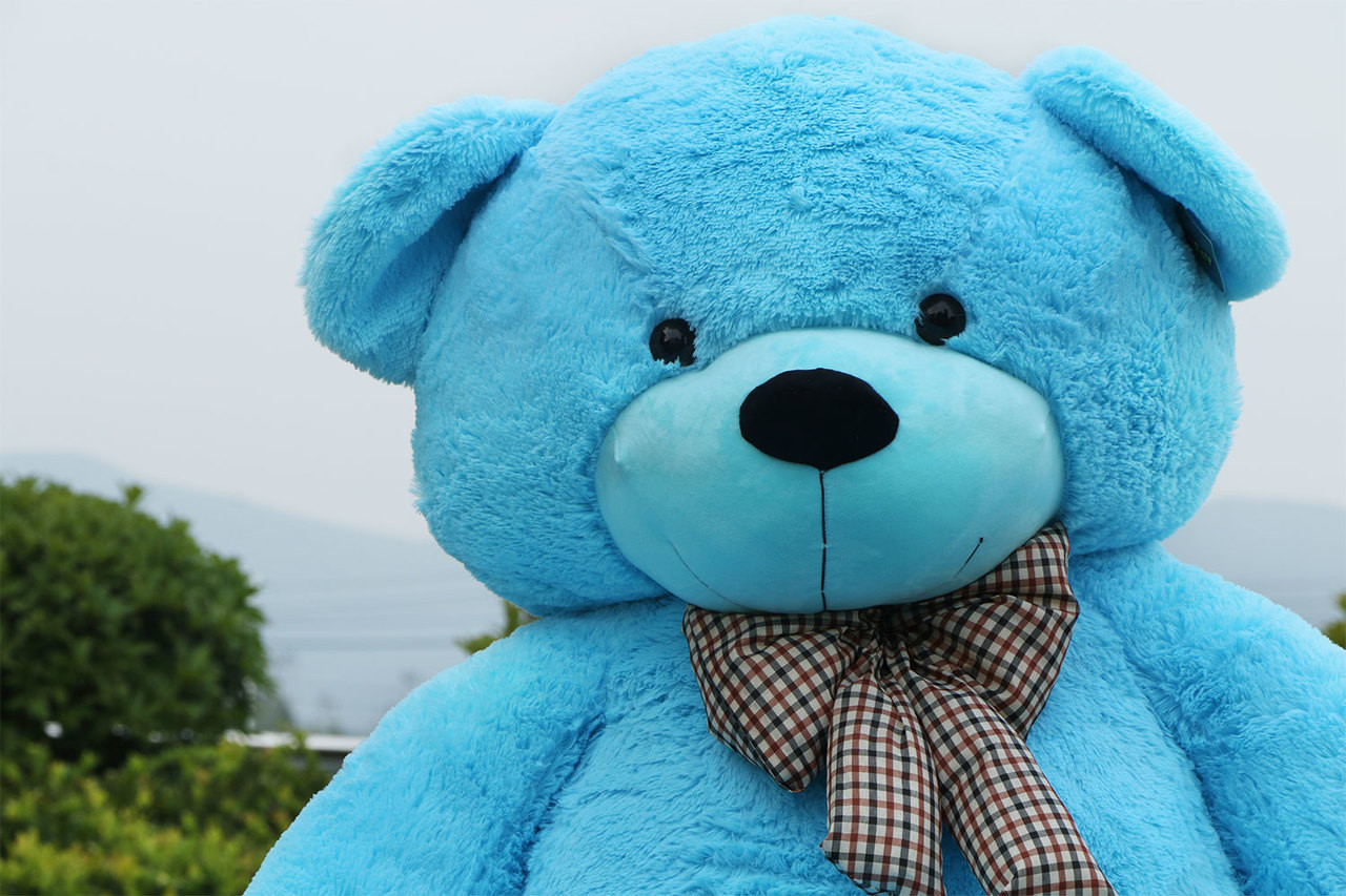 teddy bear big blue