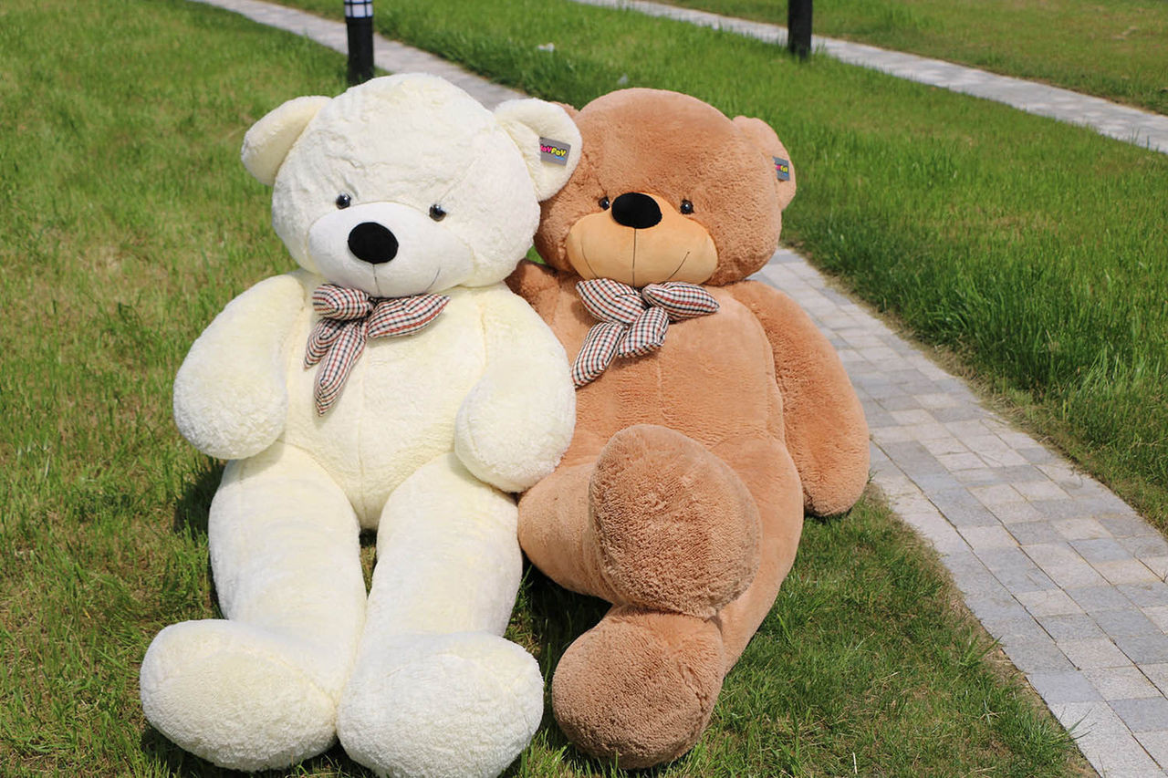 78 inch teddy bear