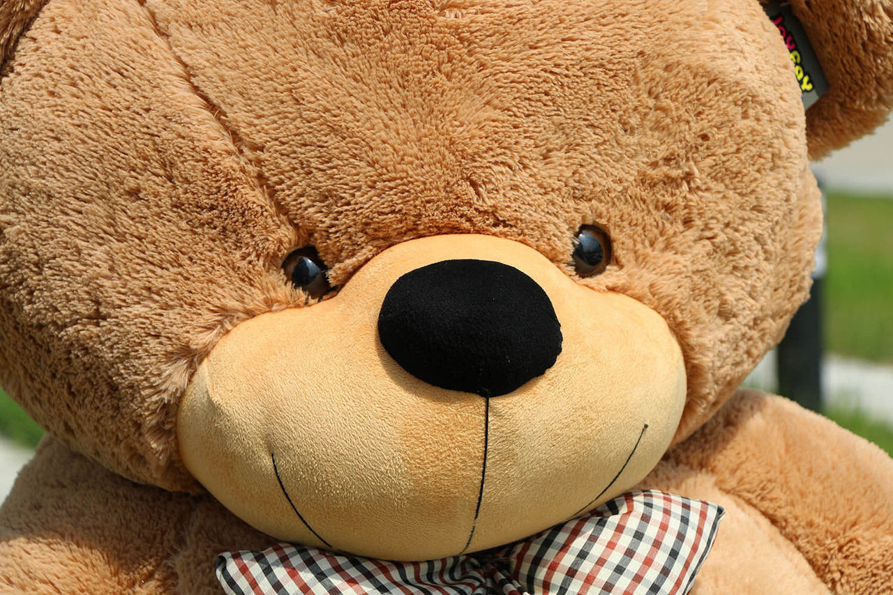 joyfay teddy bear