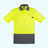 Polo’s