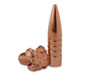 Barnes Triple-Shock X (TSX) Bullets 284 Caliber, 7mm (284 Diameter) 175 Grain Hollow Point Flat Base Lead-Free Box of 50