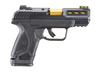 Ruger Security 380 ACP Talo Distributer Exclusive #3856