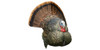 Avian-X LCD Strutter Turkey Decoy
