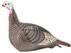 H.S. Strut Strut-Lite Hen Turkey Decoy