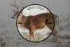 Killer Instinct LUMIX SPEEDRING 1.5-5 X 32 IR-E Crossbow Scope