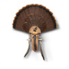Hunters Specialties 3 Beard Mounting Plaque