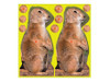 Birchwood Casey Shoot-N-C Prairie Chuck Targets 8" Pack of 12 Birchwood Casey Shoot-N-C Prairie Chuck Targets 8" Pack of 12