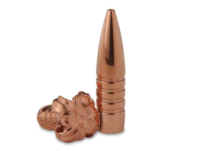 Barnes Triple-Shock X (TSX) Bullets 284 Caliber, 7mm (284 Diameter) 175 Grain Hollow Point Flat Base Lead-Free Box of 50