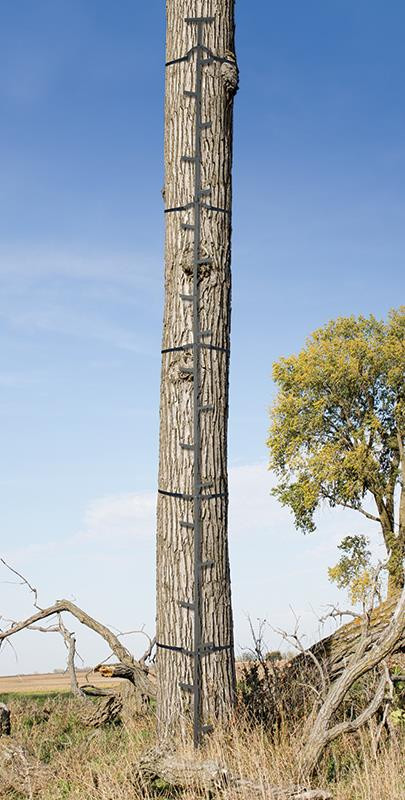 Big Game 20' Quik Stick (In Store Pick up Only)