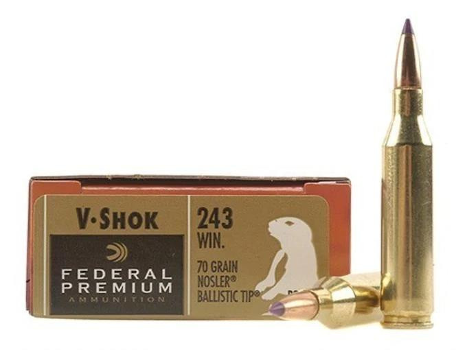 Federal .243 Winchester 70gr – 20rd