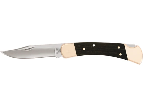 Buck 110 Folding Hunting Knife 3.75" 420HC Stainless Steel Clip Point Blade
