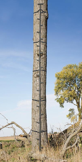 Big Game 20' Quik Stick (In Store Pick up Only)