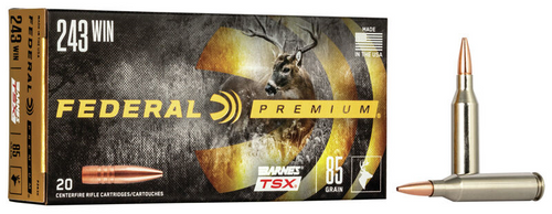 Federal Premium Barnes TSX 243 Win 85gr #P243K 20 Rounds