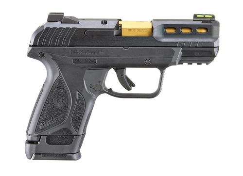 Ruger Security 380 ACP Talo Distributer Exclusive #3856