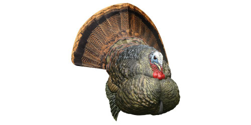Avian-X LCD Strutter Turkey Decoy