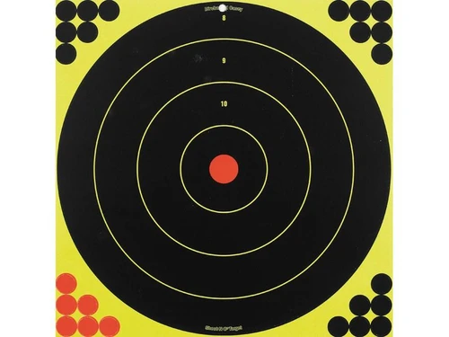 Birchwood Casey Shoot-N-C 17.25" Target Bullseye with Pasters