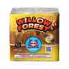 Willow Forest