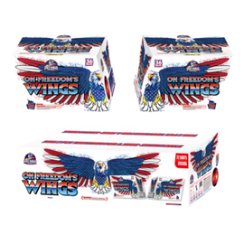 On Freedoms Wings