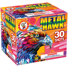 Metal Hawk