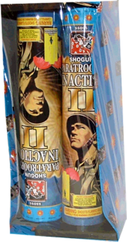 Paratrooper In Action