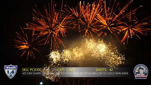 42s Fan Shape Gold Willow to Gold Rainw/ Gold Willow to Gold Rain Mine