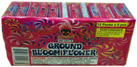 Ground Bloom Flowers - 6 pack
