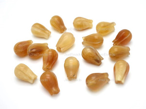 8x12mm Amber Horn Flower Beads 20pcs.