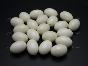 10x15mm Buffalo Bone Oval Beads 10pcs. [z2094]