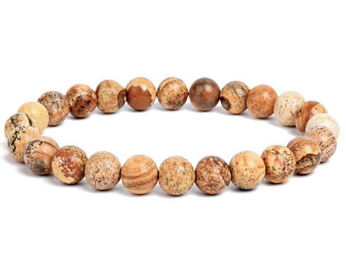 6mm Picture Jasper Elastic Bracelet 7.5" natural [b2b26]