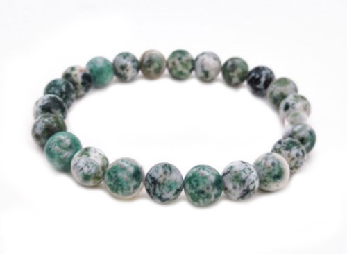 4mm Matte Tree Agate Elastic Bracelet 7.5" natural [b1a23m]