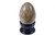3" Petrified Wood Egg With Stand (Measure 75x40x40mm) [yc7]