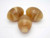 20x28mm Amber Horn Oval Beads 3pcs. [z2077]
