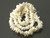 8-12mm Mother Of Pearl Chips 36"