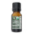 Cinnamon Leaf (Certified Organic) Essential Oil Cinnamon Leaf (Certified Organic) Essential Oil