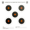 Bisley 5 Target, 17cm, 100pc