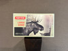 Norma 6.5 Creedmoor 10.1g/156gr