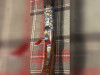 Caesar Guerini Revenant 20 gauge 179718 Caesar Guerini Revenant 20 gauge 179718
